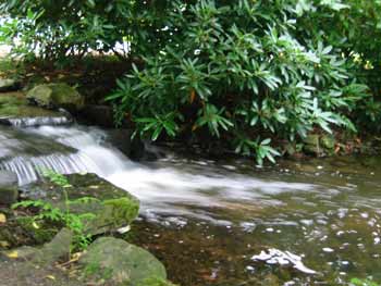 la cascade du souvenir