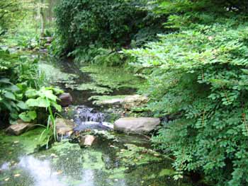 la rivière du paradie